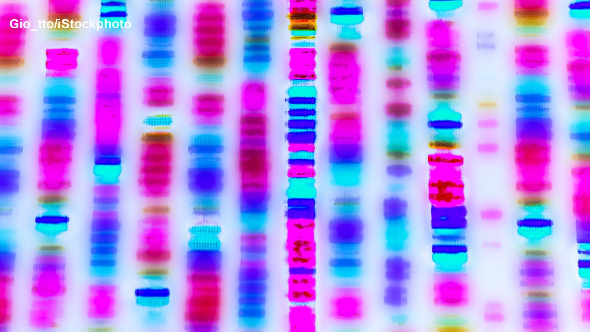 Photo of DNA, Genes and Genetic Engineering