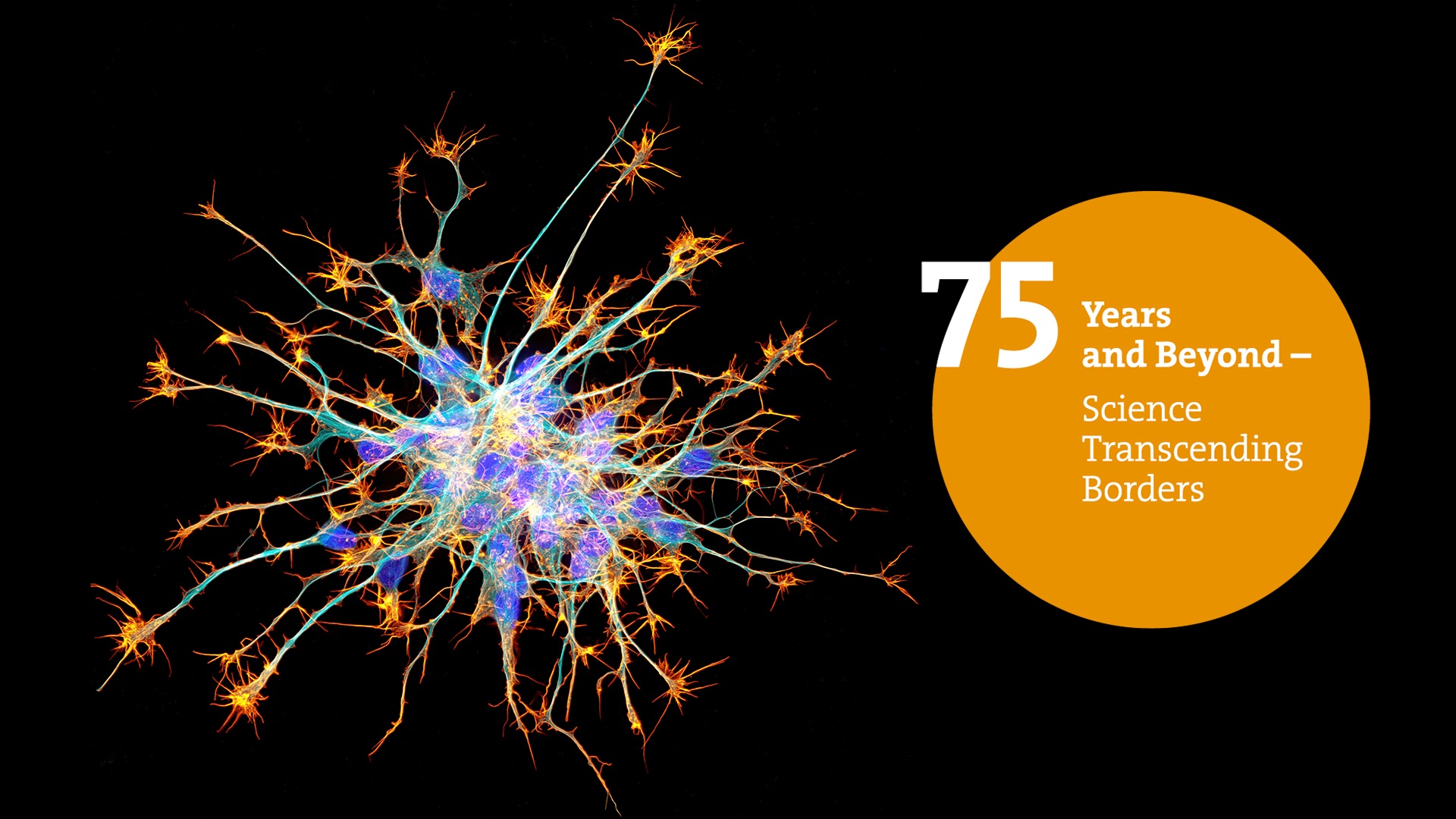 Photo of 75th Lindau Nobel Laureate Meeting