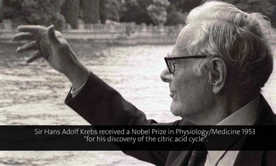 Video Sir Hans Krebs 1981 The Evolution Of The Citric Acid Cycle And Other Metabolic Pathways